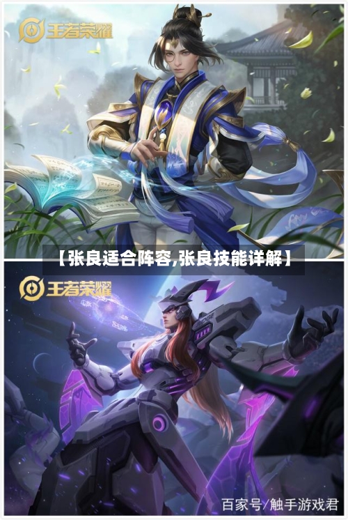 【张良适合阵容,张良技能详解】-第2张图片