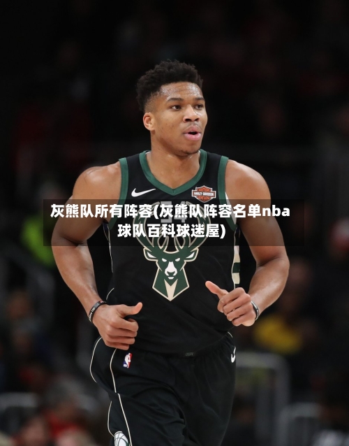 灰熊队所有阵容(灰熊队阵容名单nba球队百科球迷屋)