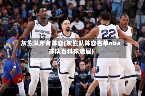 灰熊队所有阵容(灰熊队阵容名单nba球队百科球迷屋)-第2张图片