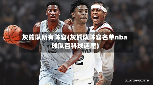 灰熊队所有阵容(灰熊队阵容名单nba球队百科球迷屋)-第3张图片