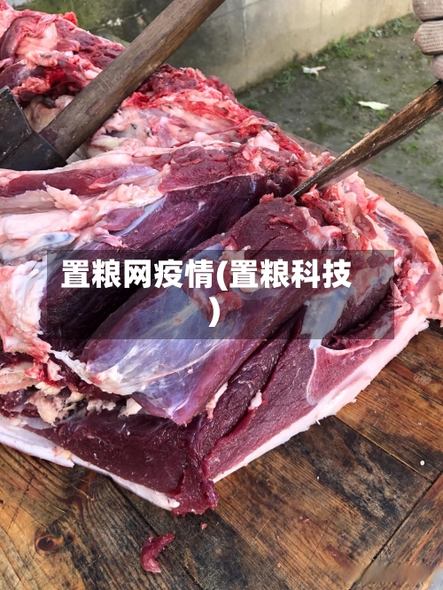置粮网疫情(置粮科技)