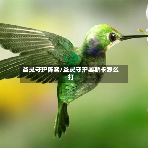 圣灵守护阵容/圣灵守护奥斯卡怎么打