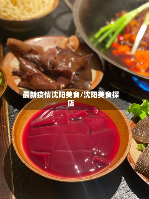 最新疫情沈阳美食/沈阳美食探店-第2张图片