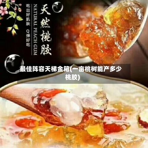 最佳阵容天梯金箱(一亩桃树能产多少桃胶)