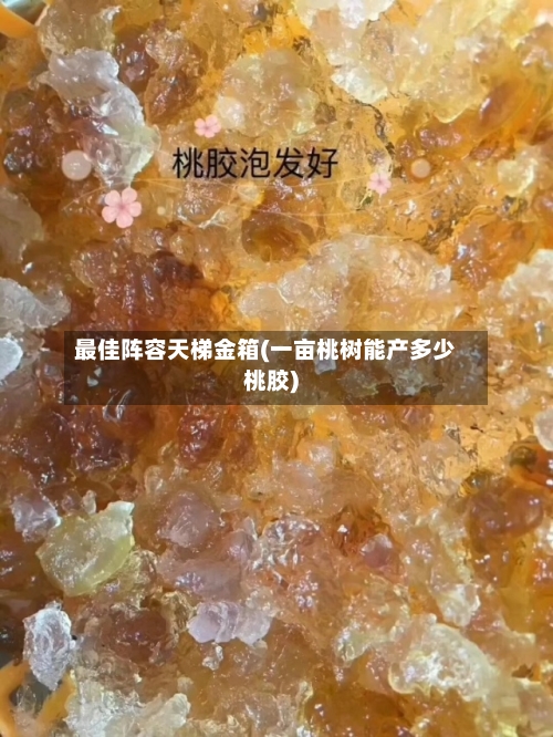 最佳阵容天梯金箱(一亩桃树能产多少桃胶)-第2张图片