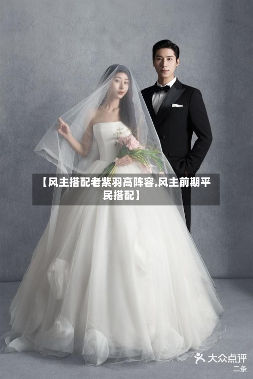 【风主搭配老紫羽高阵容,风主前期平民搭配】-第2张图片