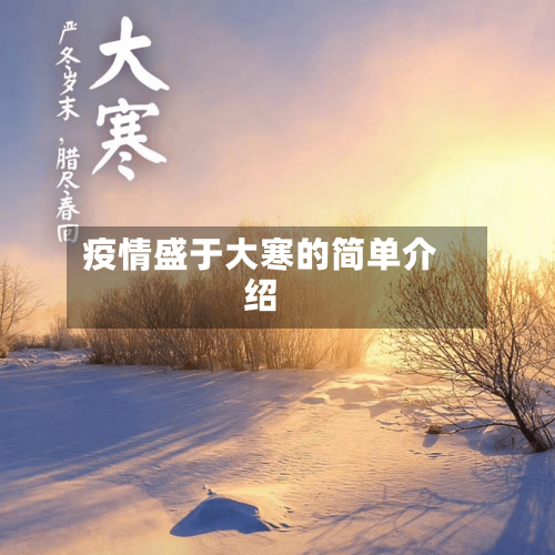 疫情盛于大寒的简单介绍