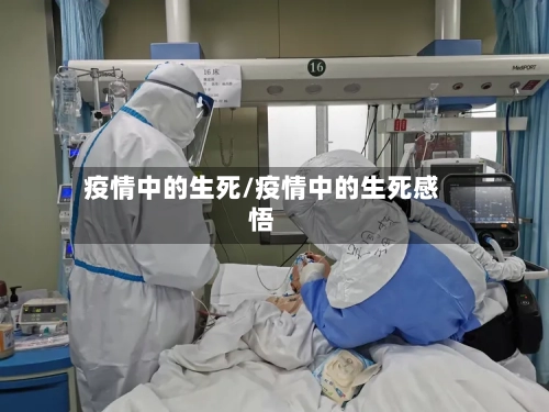 疫情中的生死/疫情中的生死感悟
