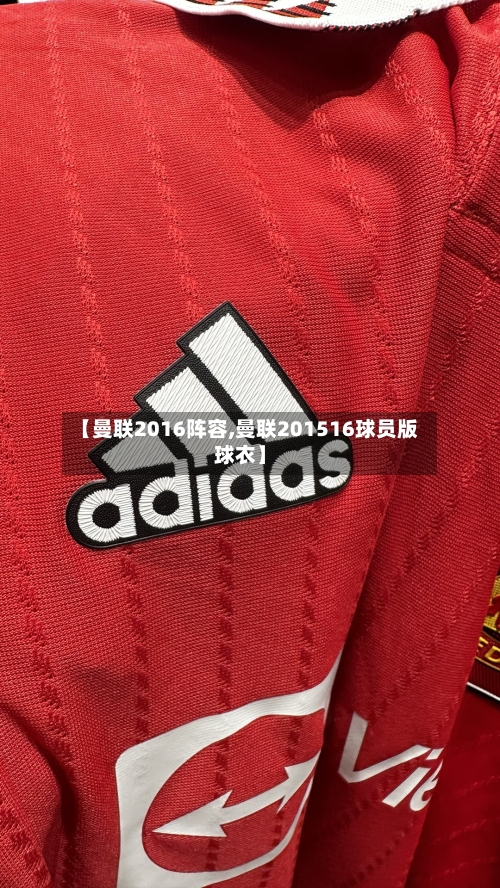 【曼联2016阵容,曼联201516球员版球衣】-第2张图片