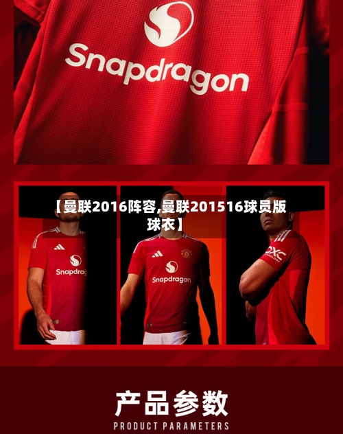 【曼联2016阵容,曼联201516球员版球衣】-第3张图片