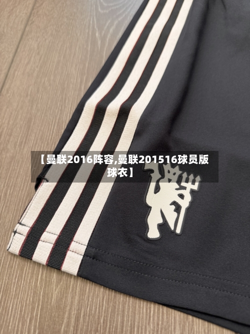 【曼联2016阵容,曼联201516球员版球衣】