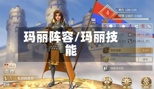 玛丽阵容/玛丽技能-第3张图片