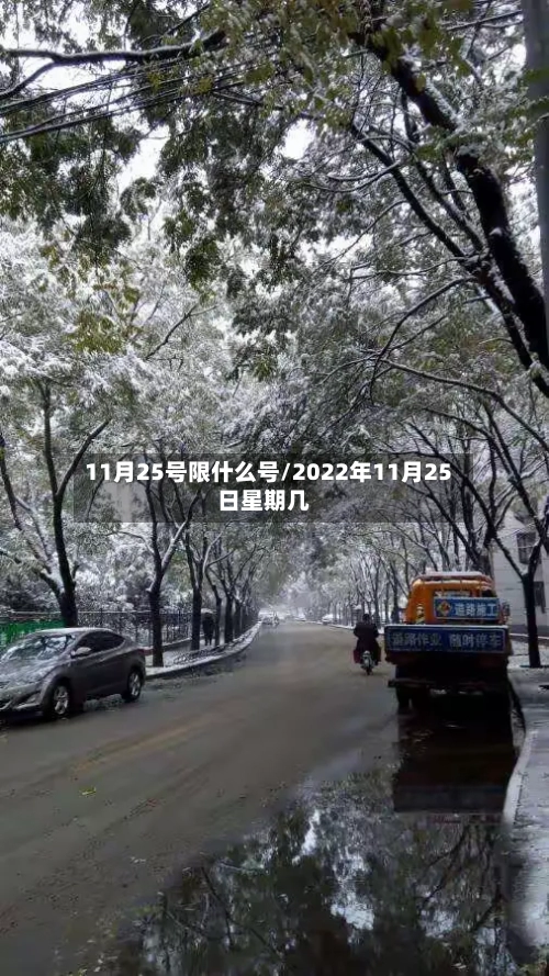 11月25号限什么号/2022年11月25日星期几-第2张图片