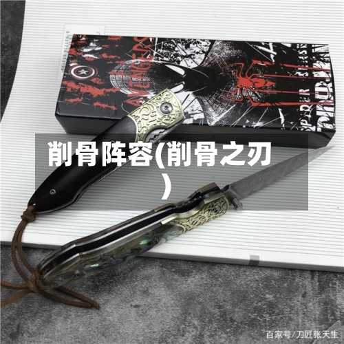 削骨阵容(削骨之刃)-第3张图片