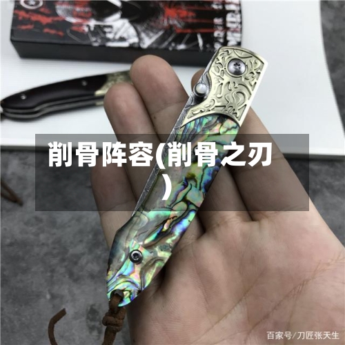 削骨阵容(削骨之刃)-第2张图片