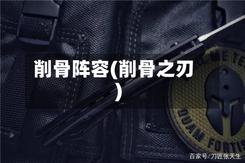 削骨阵容(削骨之刃)