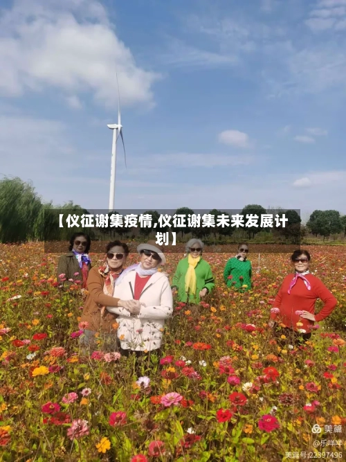 【仪征谢集疫情,仪征谢集未来发展计划】-第3张图片