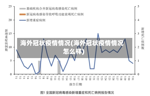 海外冠状疫情情况(海外冠状疫情情况怎么样)-第2张图片