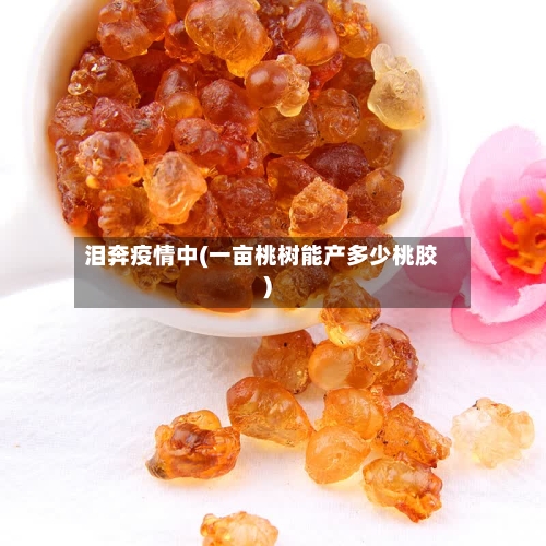 泪奔疫情中(一亩桃树能产多少桃胶)