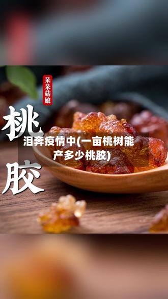 泪奔疫情中(一亩桃树能产多少桃胶)-第2张图片