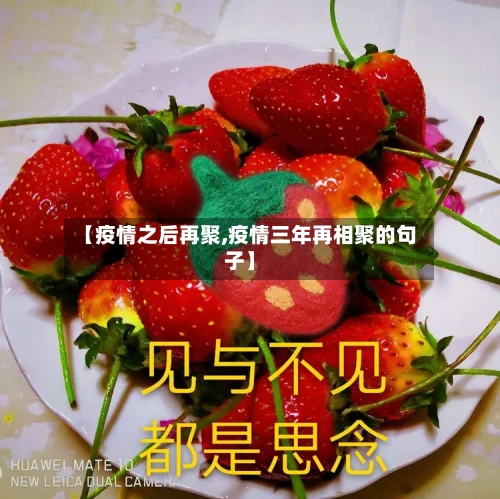 【疫情之后再聚,疫情三年再相聚的句子】-第2张图片