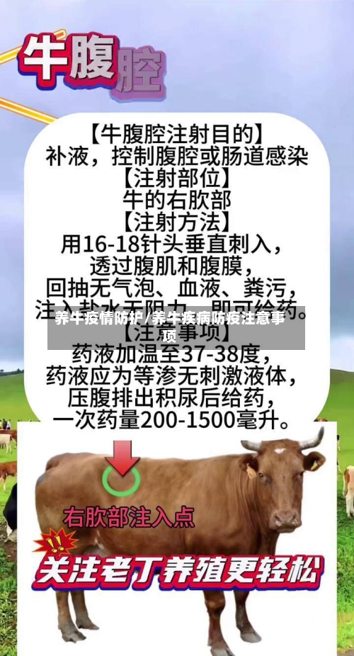 养牛疫情防护/养牛疾病防疫注意事项-第2张图片
