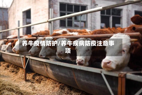 养牛疫情防护/养牛疾病防疫注意事项