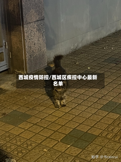 西城疫情防控/西城区疾控中心最新名单-第2张图片