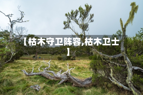 【枯木守卫阵容,枯木卫士】