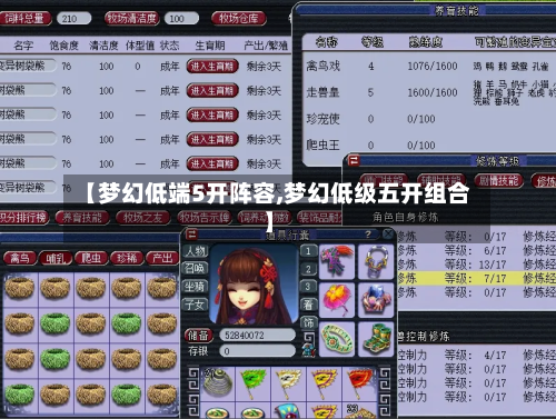 【梦幻低端5开阵容,梦幻低级五开组合】