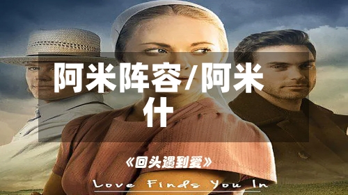 阿米阵容/阿米什-第2张图片