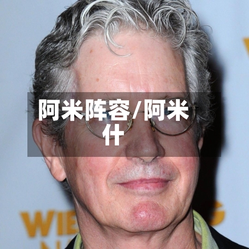 阿米阵容/阿米什-第3张图片