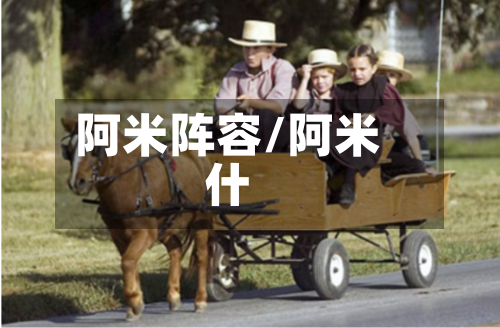 阿米阵容/阿米什