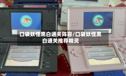 口袋妖怪黑白通关阵容/口袋妖怪黑白通关推荐精灵-第2张图片