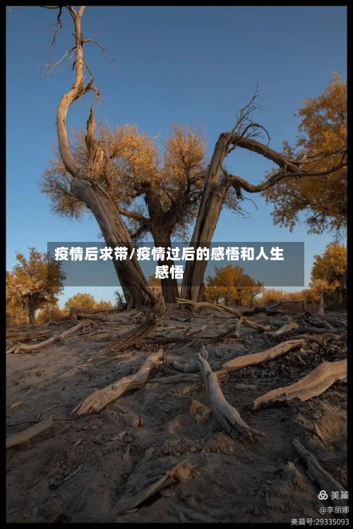 疫情后求带/疫情过后的感悟和人生感悟