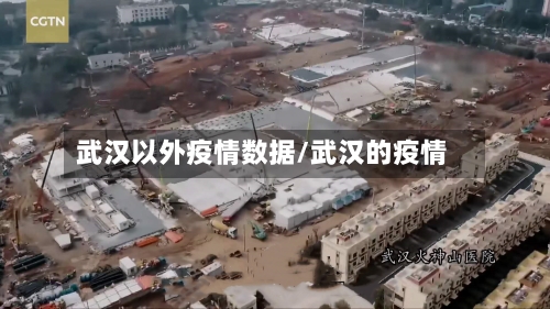 武汉以外疫情数据/武汉的疫情