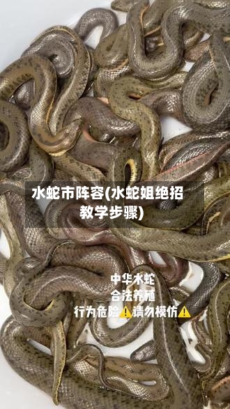 水蛇市阵容(水蛇姐绝招教学步骤)