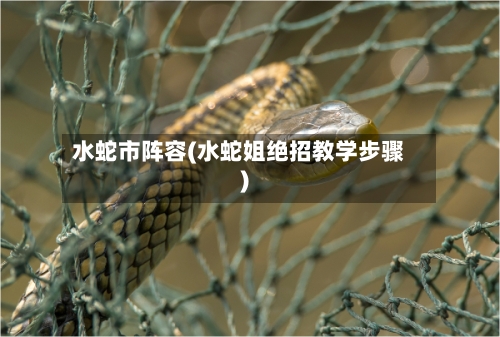 水蛇市阵容(水蛇姐绝招教学步骤)-第2张图片