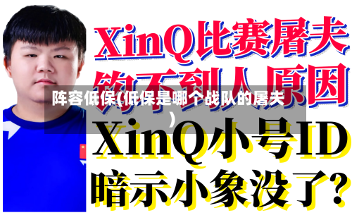 阵容低保(低保是哪个战队的屠夫)-第2张图片