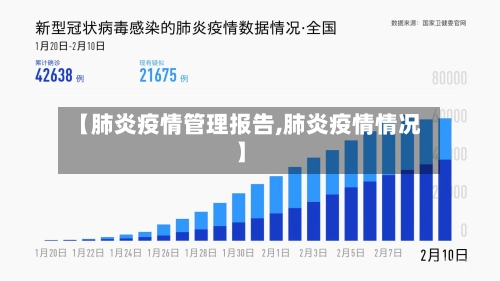 【肺炎疫情管理报告,肺炎疫情情况】