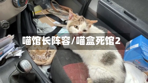 喵馆长阵容/喵盒死馆2