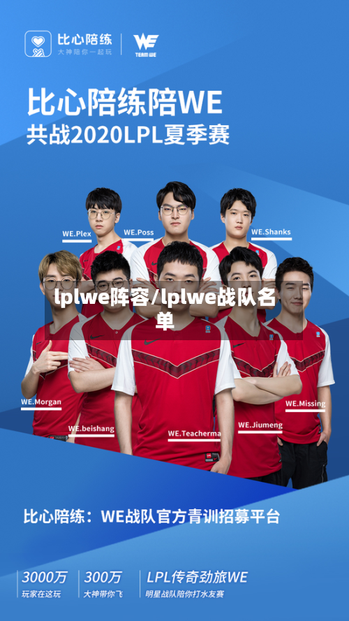 lplwe阵容/lplwe战队名单