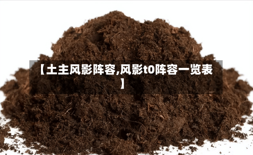 【土主风影阵容,风影t0阵容一览表】-第2张图片