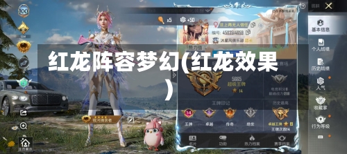 红龙阵容梦幻(红龙效果)