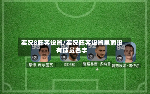 实况8阵容设置/实况阵容设置里面没有球员名字