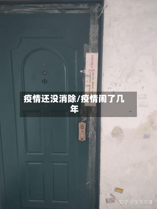 疫情还没消除/疫情闹了几年