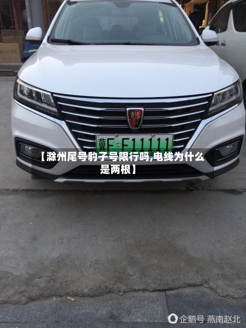 【滁州尾号豹子号限行吗,电线为什么是两根】