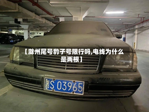 【滁州尾号豹子号限行吗,电线为什么是两根】-第2张图片