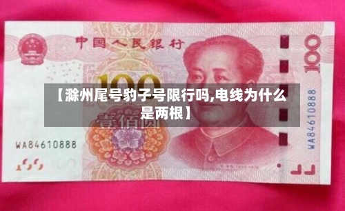 【滁州尾号豹子号限行吗,电线为什么是两根】-第3张图片