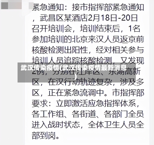武汉传染疫情(武汉传染疫情最新消息)-第2张图片